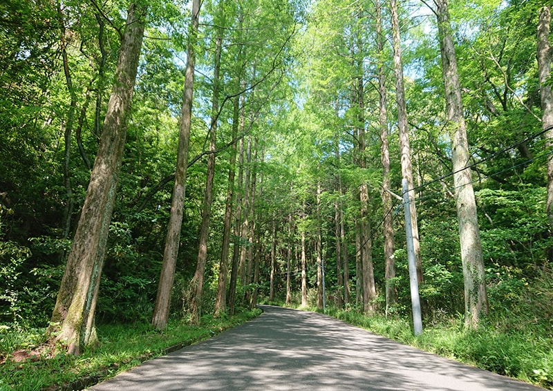 物件・現地の見学